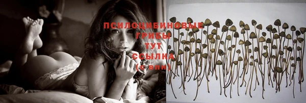 ПСИЛОЦИБИНОВЫЕ ГРИБЫ Волоколамск