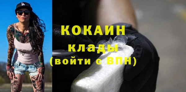 амф Верхний Тагил