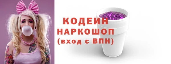 амф Верхний Тагил