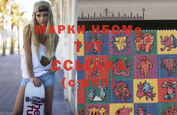 амф Верхний Тагил