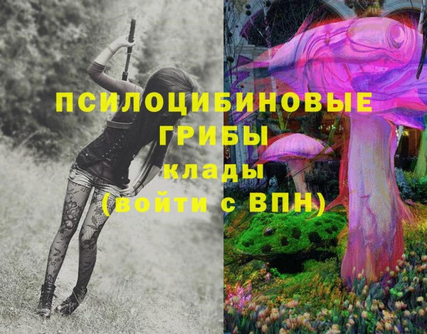 ПСИЛОЦИБИНОВЫЕ ГРИБЫ Волоколамск