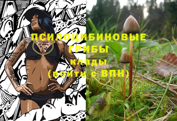 амф Верхний Тагил