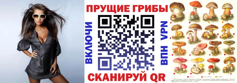 Галлюциногенные грибы мицелий  Купить закладки  Гудермес 