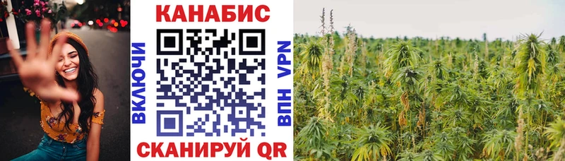 Купить где  Гудермес  Бошки Шишки план 